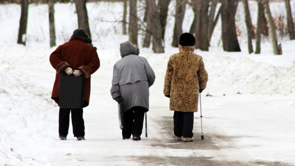 Winter walking group